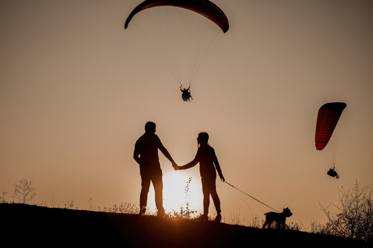 dog paragliding